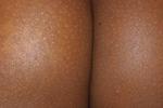Profile of heaven_gall_