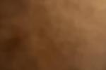 Profile of julia_stits