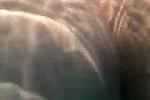 Profile of julialiones