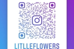 Profile of litlle_flowers