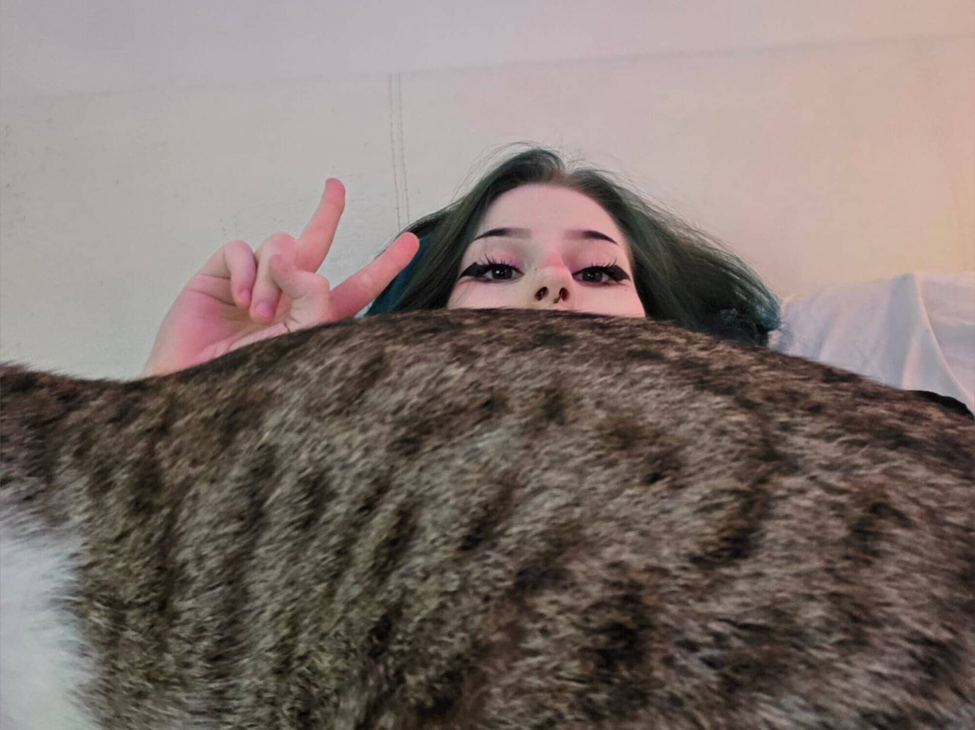 Profile of alinity