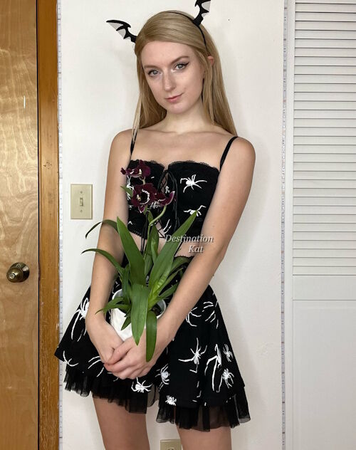 Profile of destinationkat