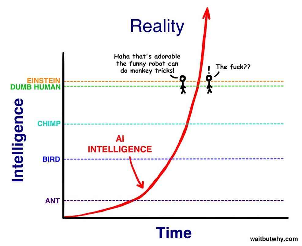 Profile of elonmusk