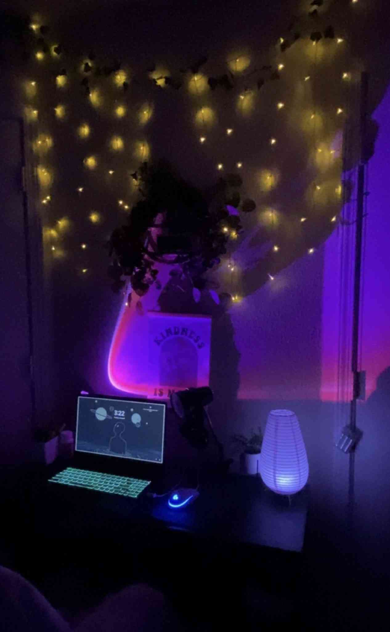 Profile of payxluna