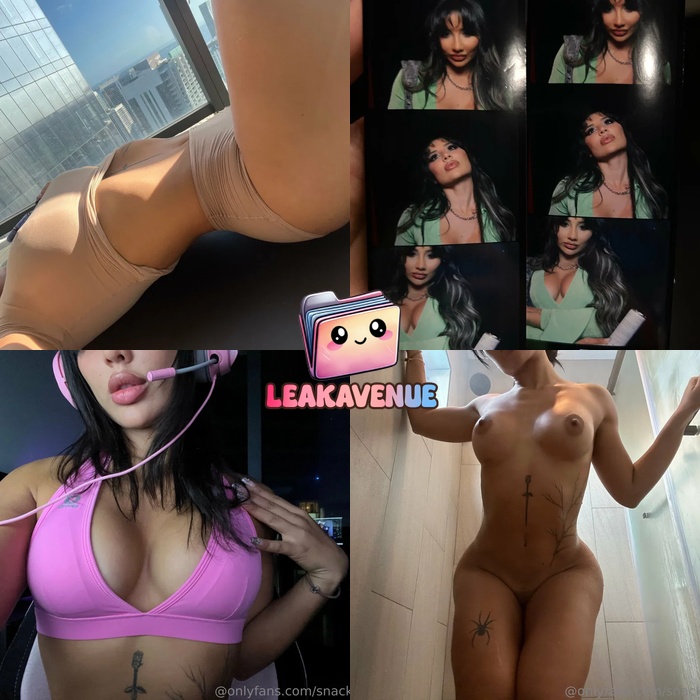 snaxychann's of leaks