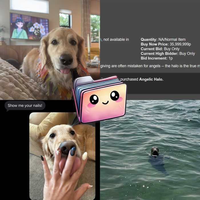 Pack Preview