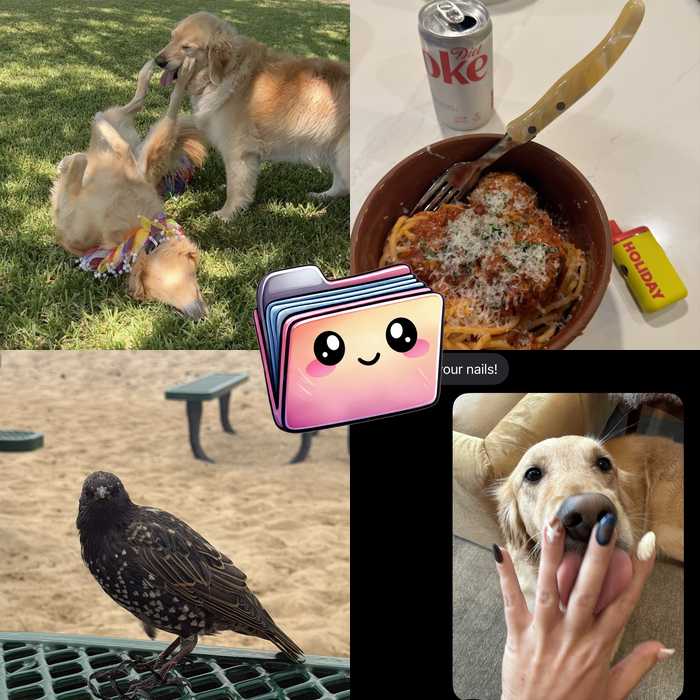 Pack Preview