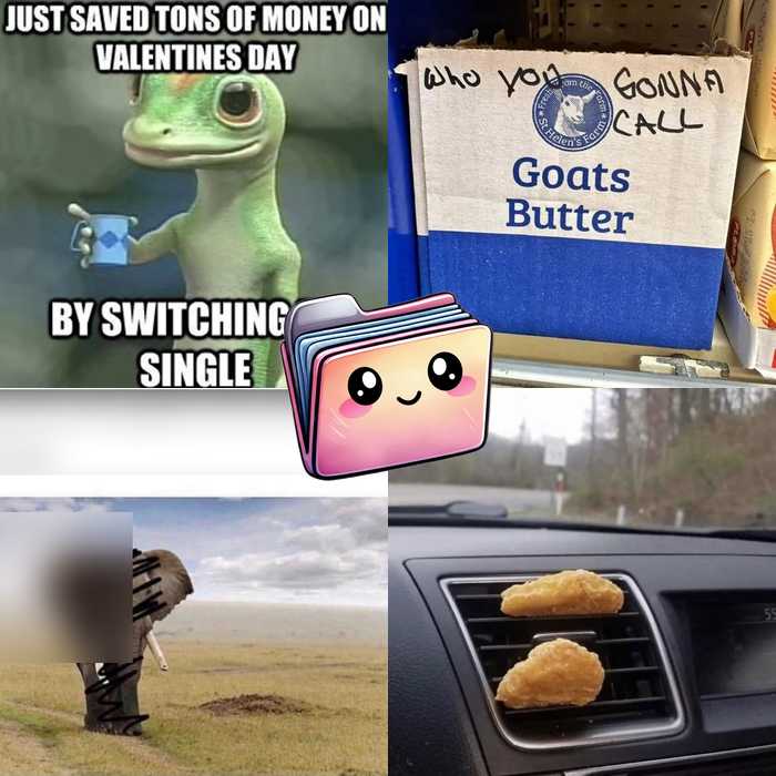 s's of leaks